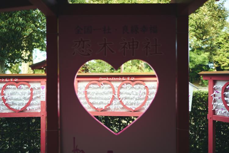 Koinoki Shrine03
