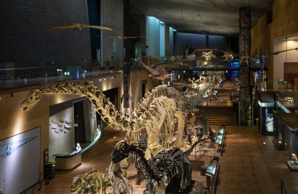 Kitakyushu Museum of Natural History & Human History01