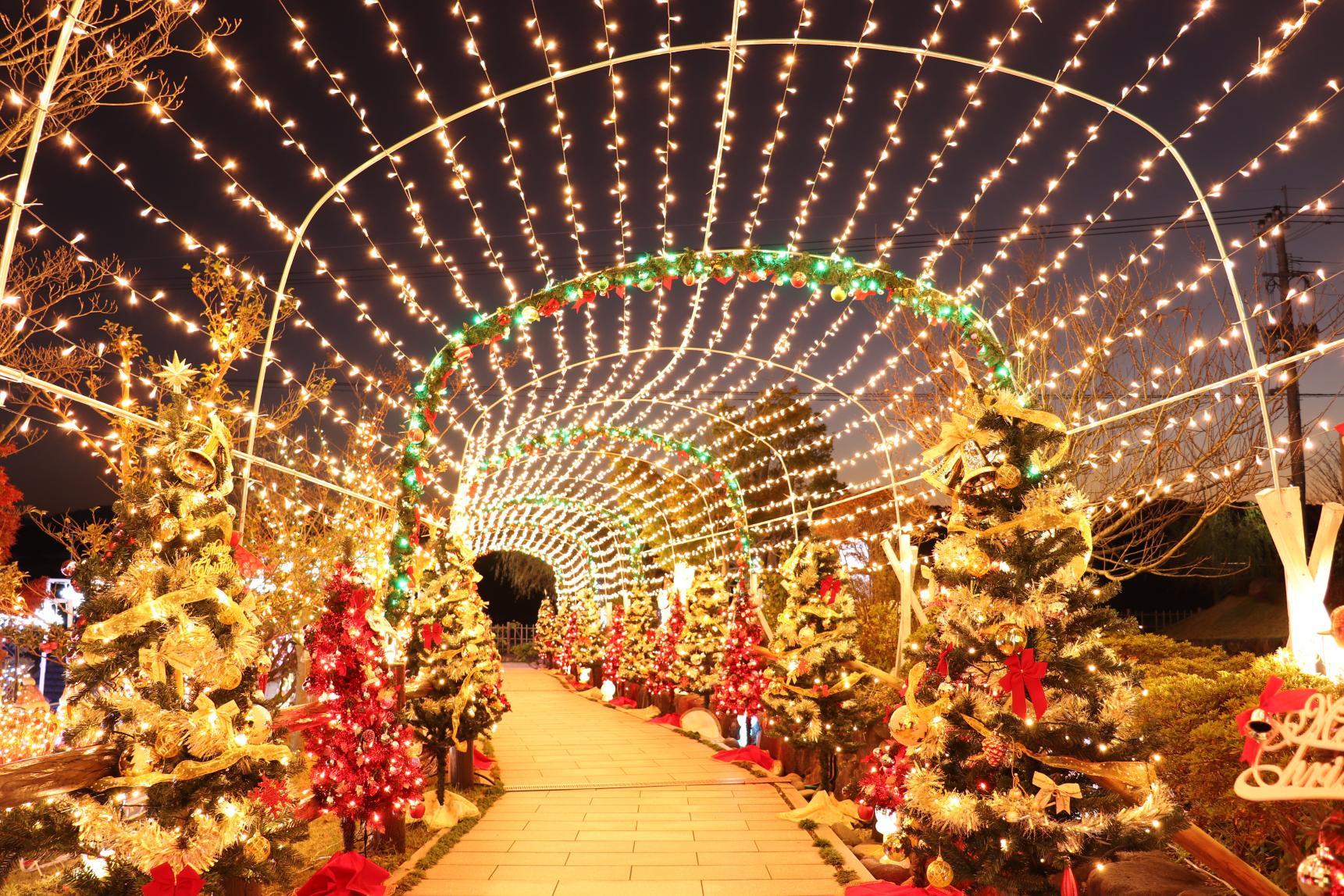 Illumination and Light-up Spots in Fukuoka