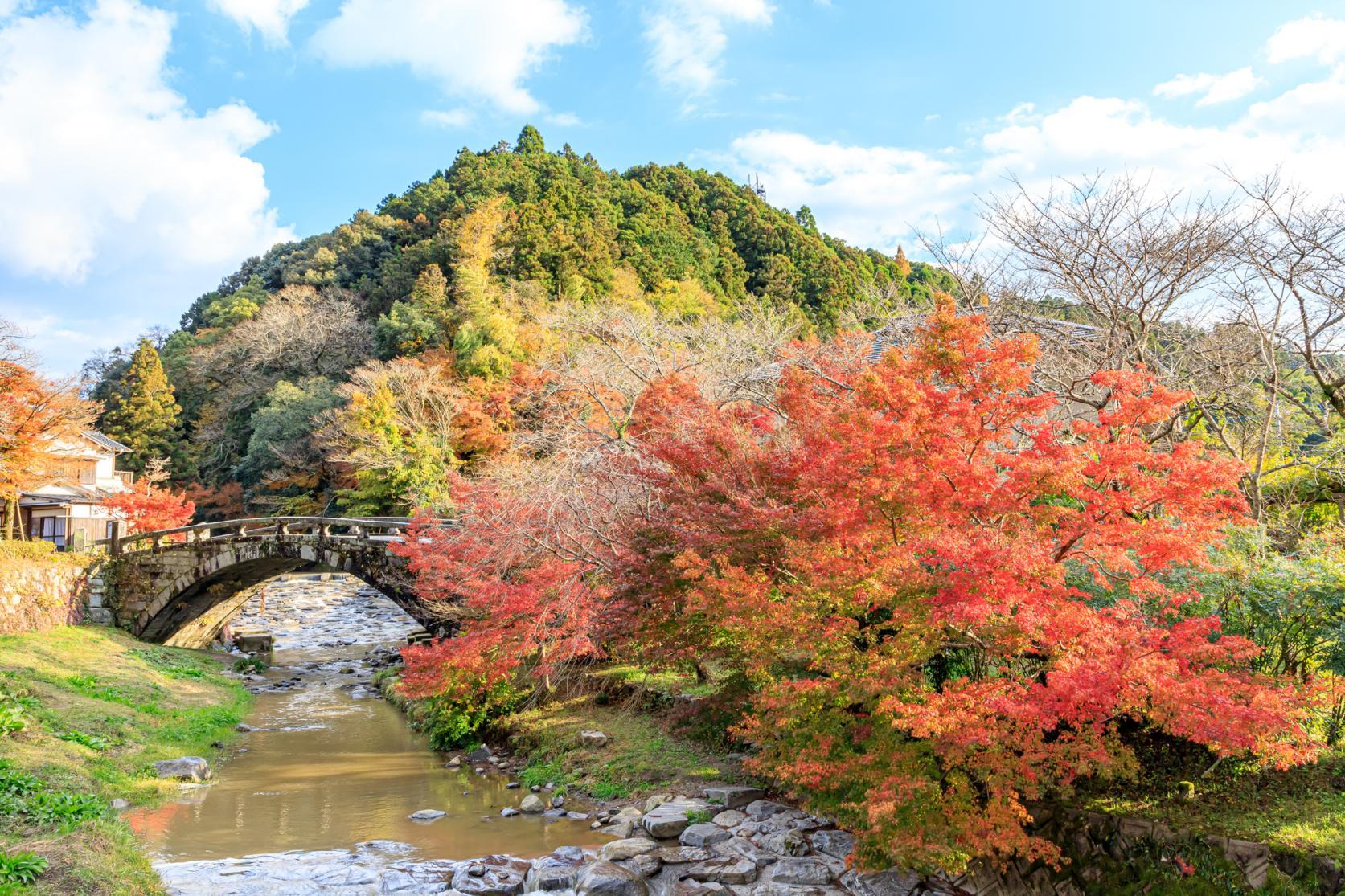 후쿠오카현 가을 단풍 명소 가이드