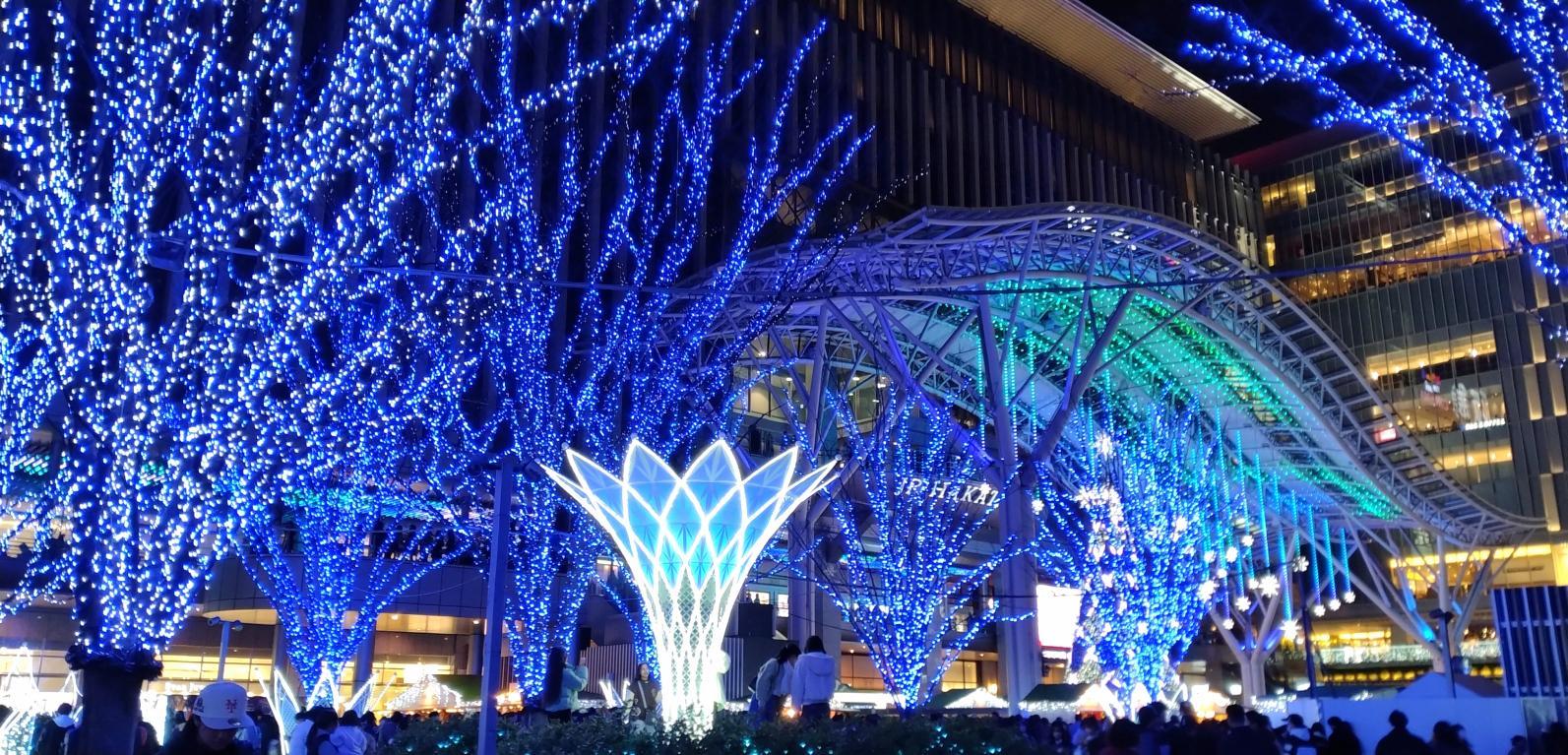 12月のおでかけスポットまとめ