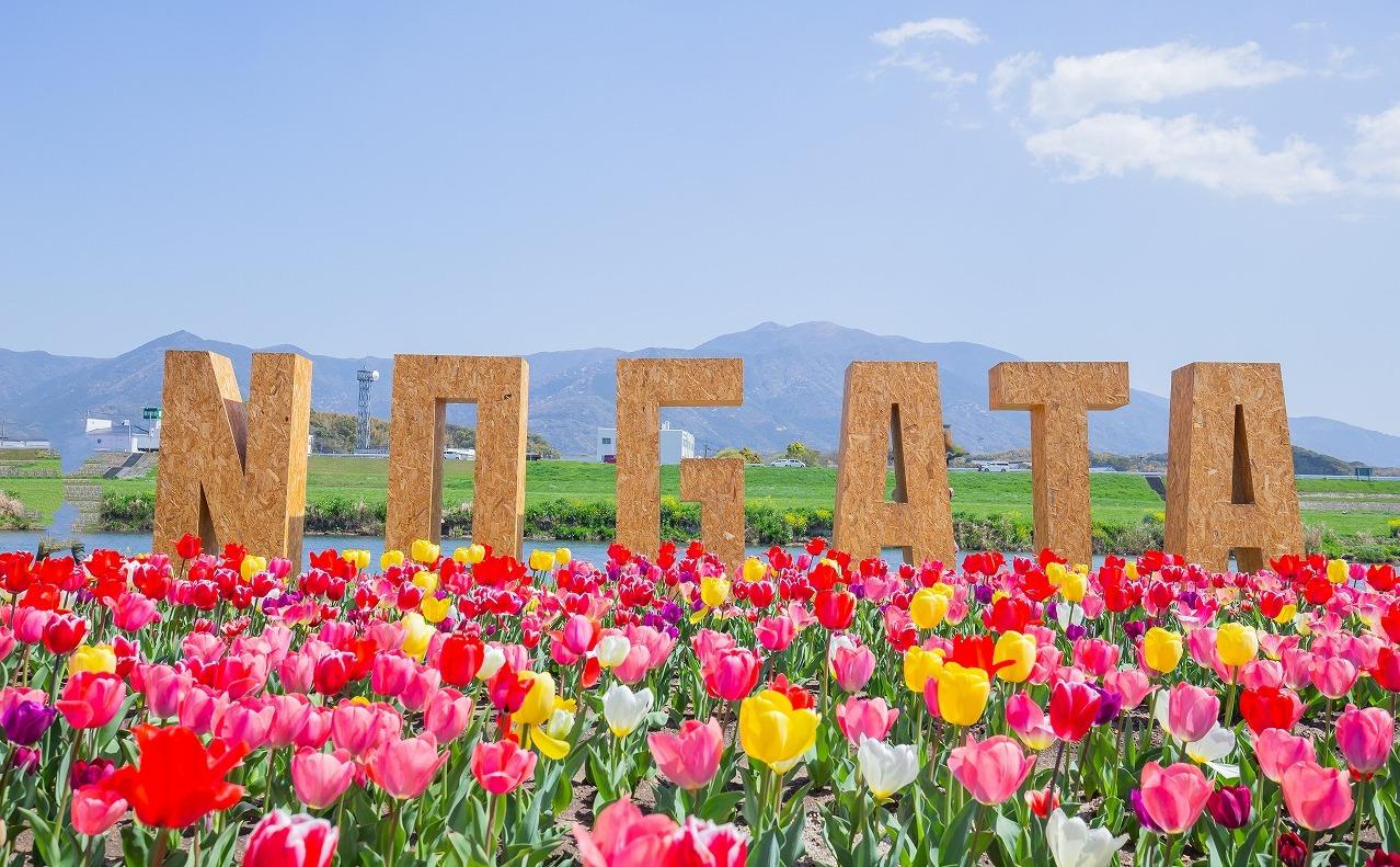 3月のお出かけスポットまとめ