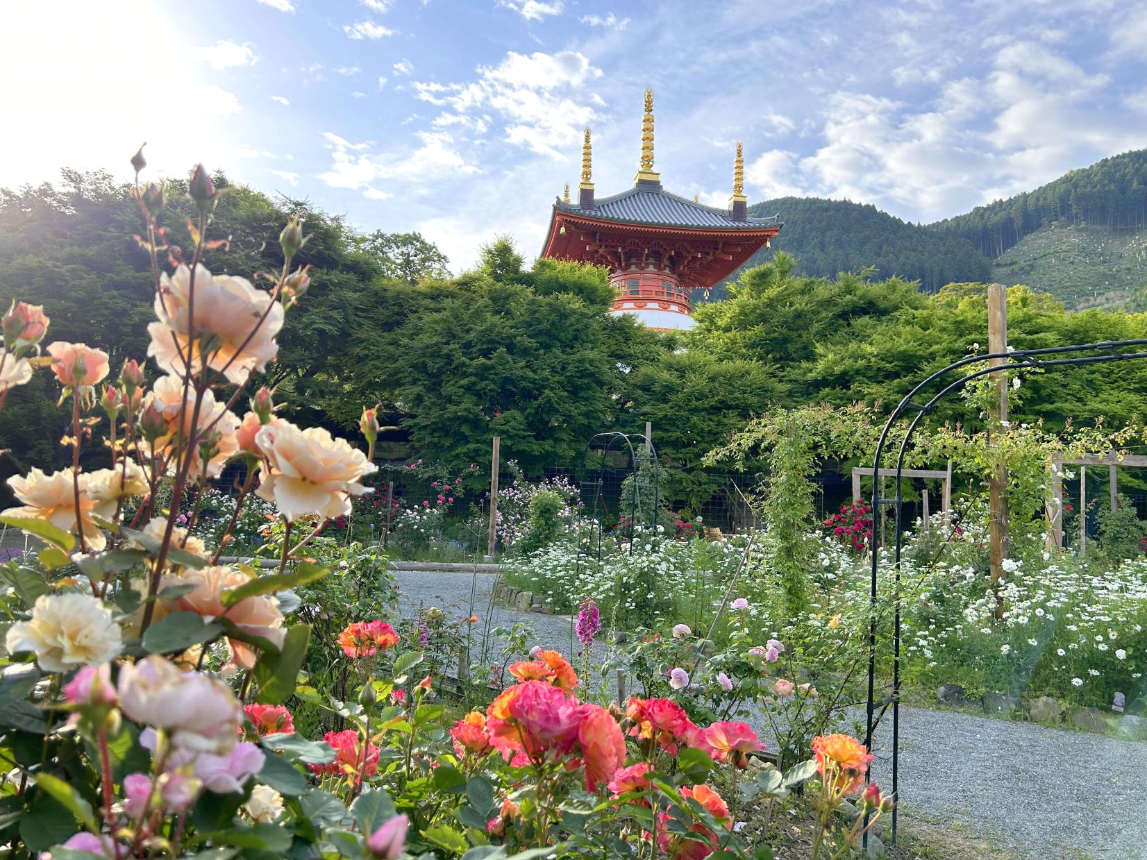 5月のお出かけ情報まとめ