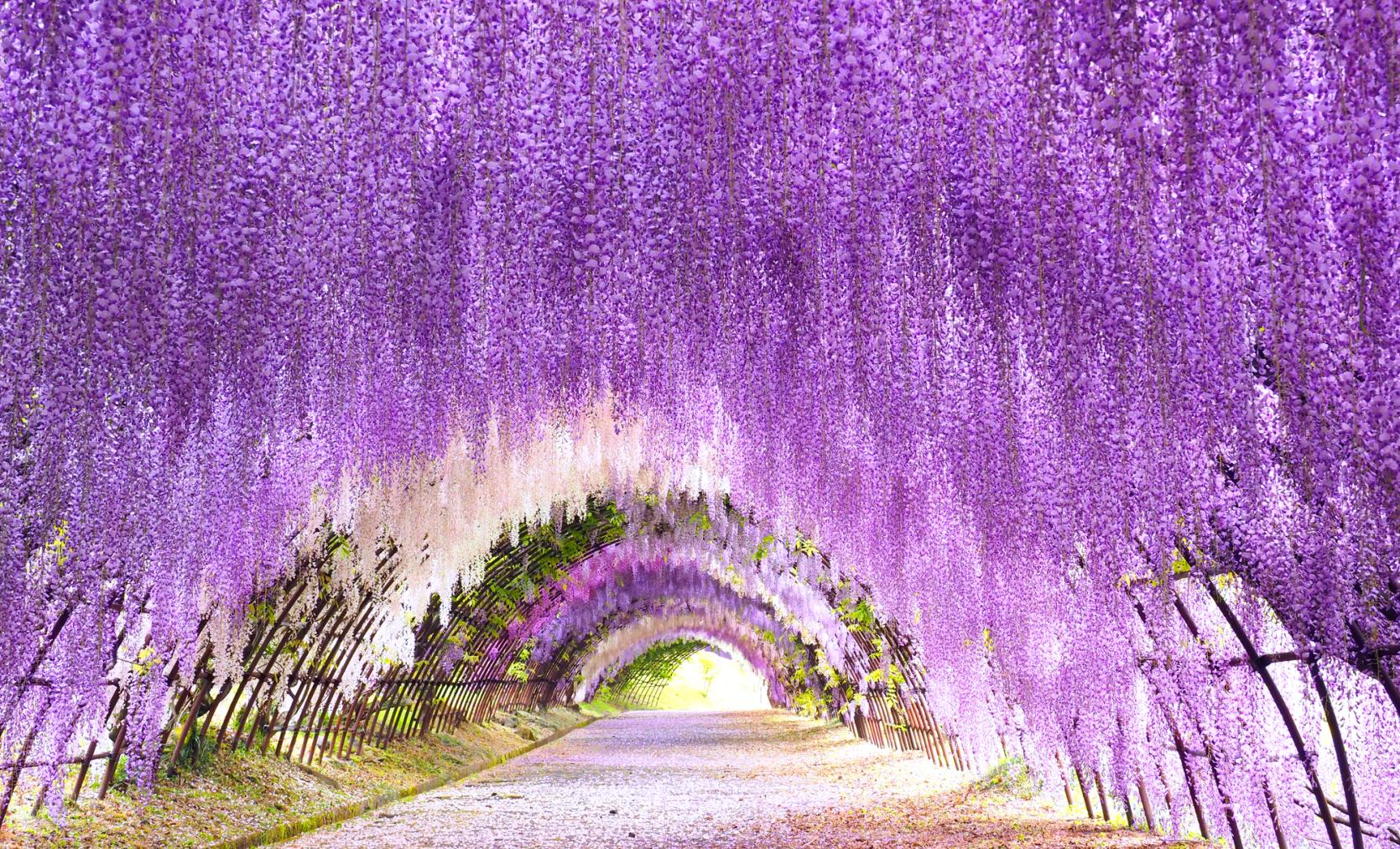 4月のおでかけスポットまとめ