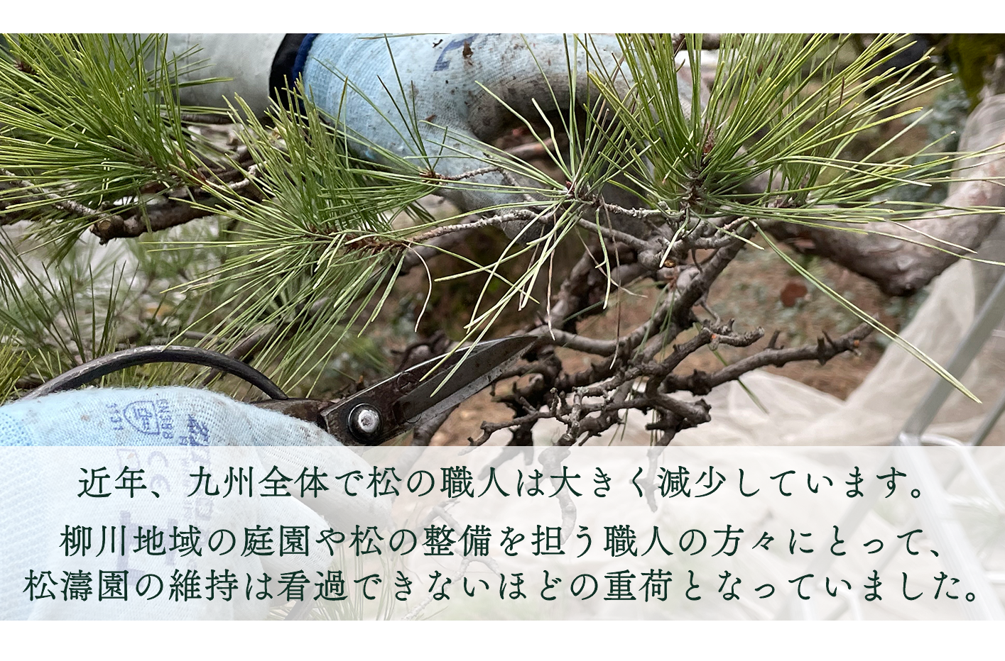 「柳川藩主立花邸 御花」のクラウドファンディングがスタートしました。-3