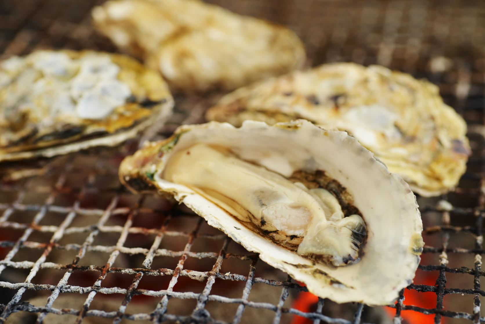 Savourez les “kaki-goya”, les cabanes à huîtres !-1