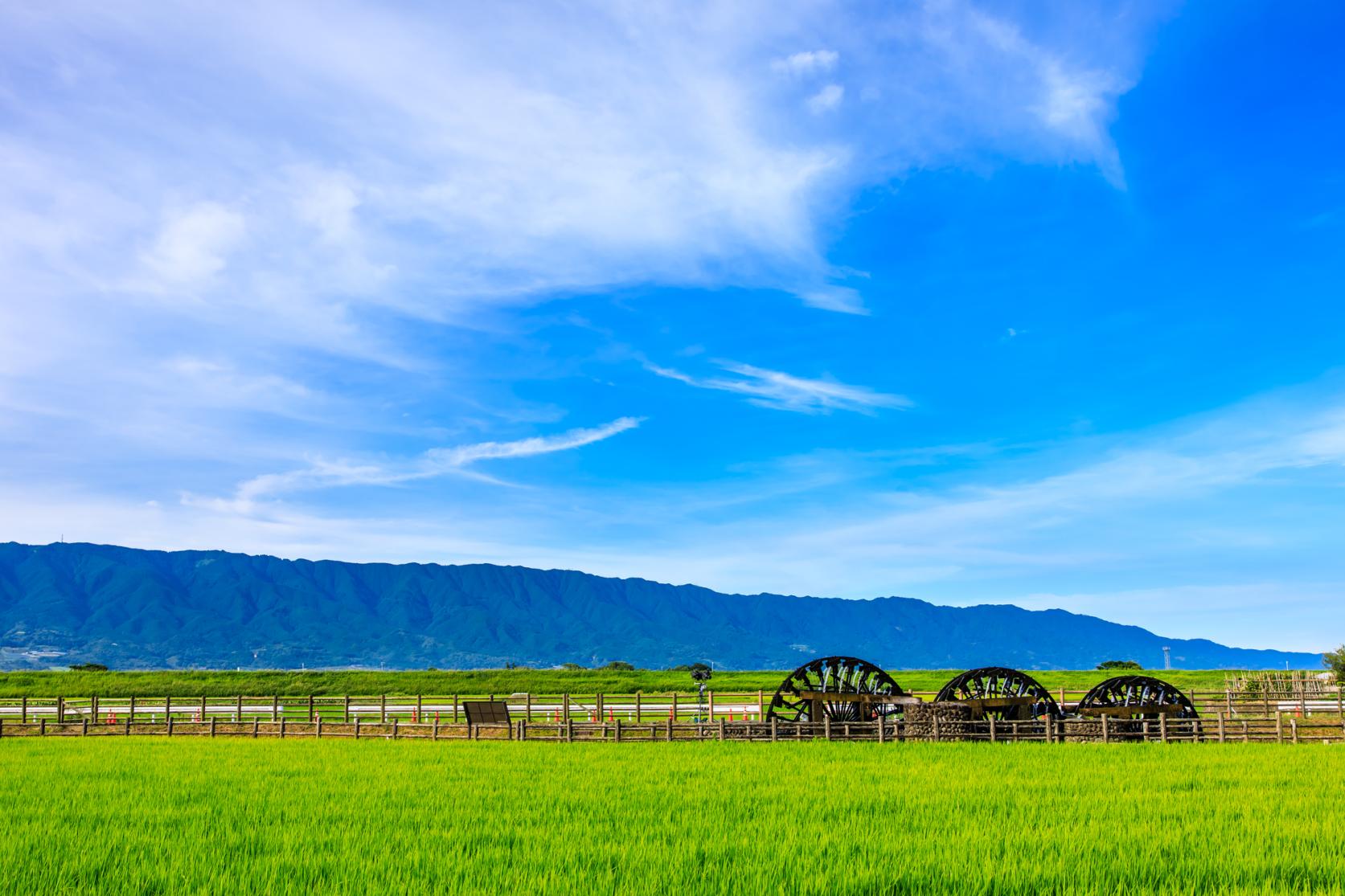 Nearby Spot: Asakura Triple Waterwheels-1