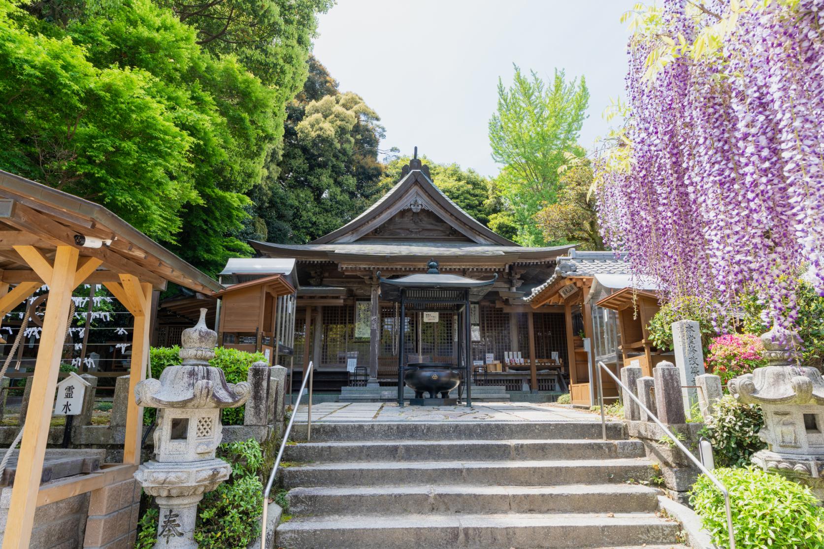 順道造訪景點「武藏寺」-1