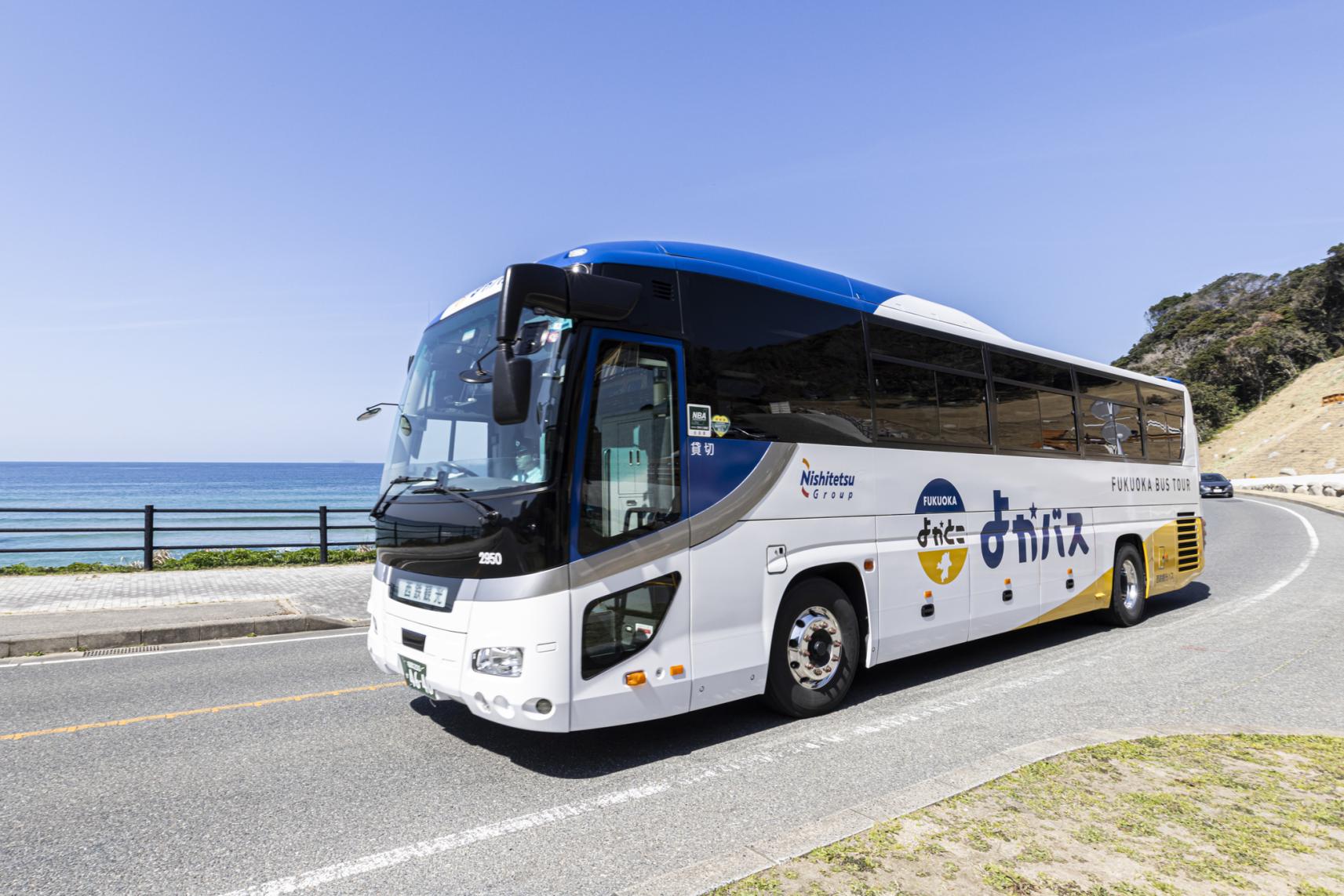 Easy fruit picking on a bus tour!-1