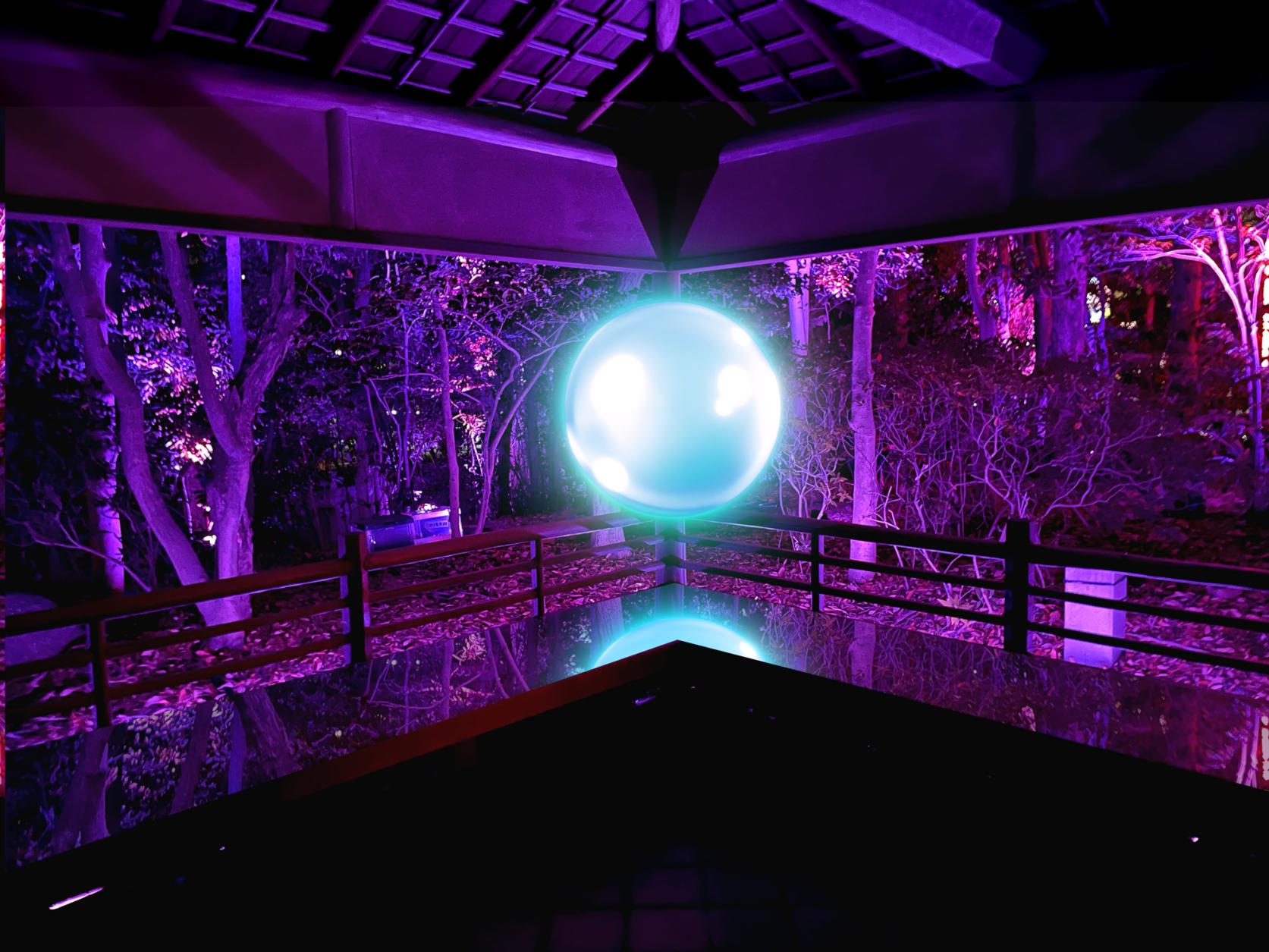 日本庭園×數位藝術！「宙SORA」-1