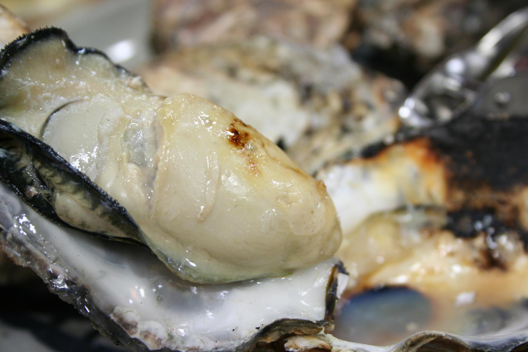 冬は牡蠣小屋で「糸島カキ」を味わって-1