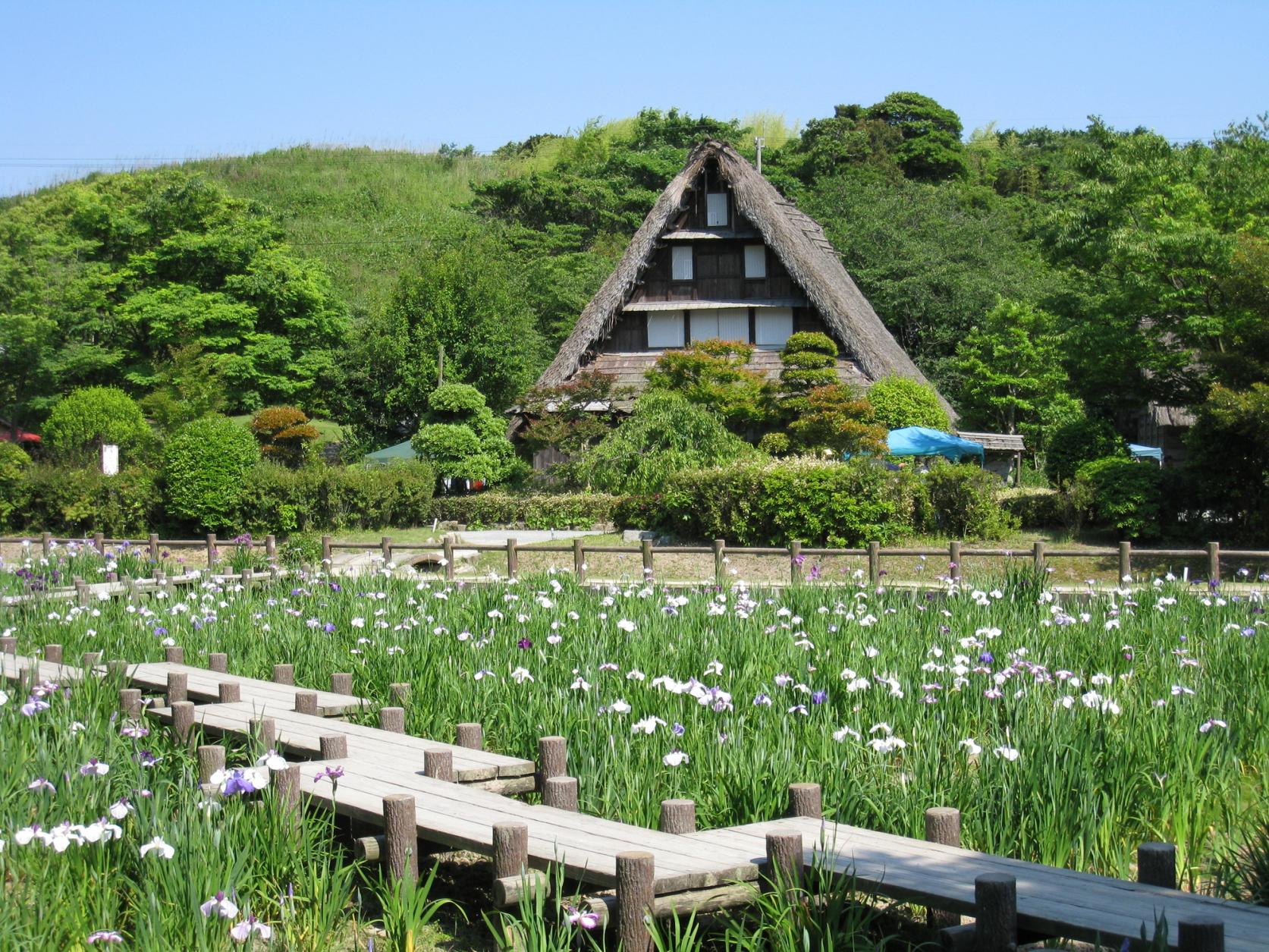 境内奥に広がる日本の原風景を散策してみよう-1