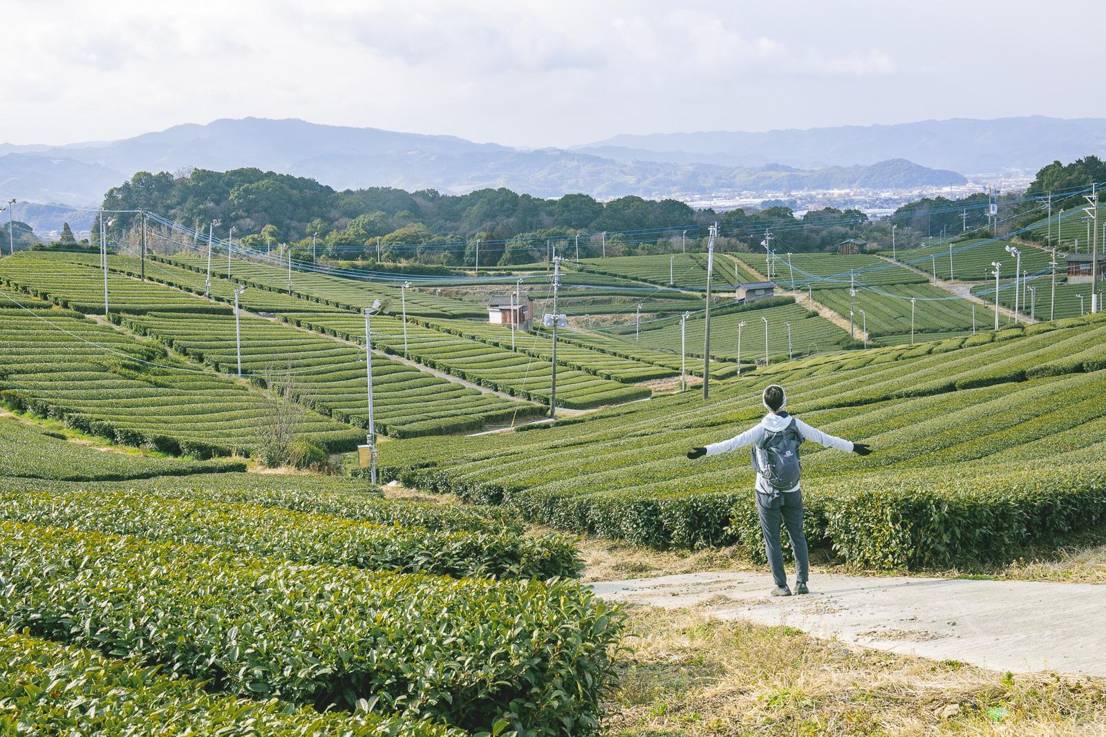 【取材記事】九州オルレ 八女コース 八女茶を育む豊かな土壌には、驚きがいっぱい詰まっています-1