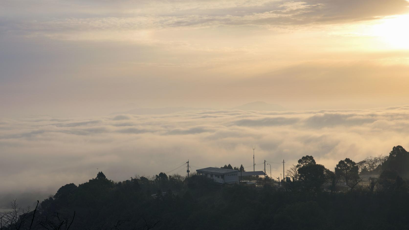 八木山の雲海