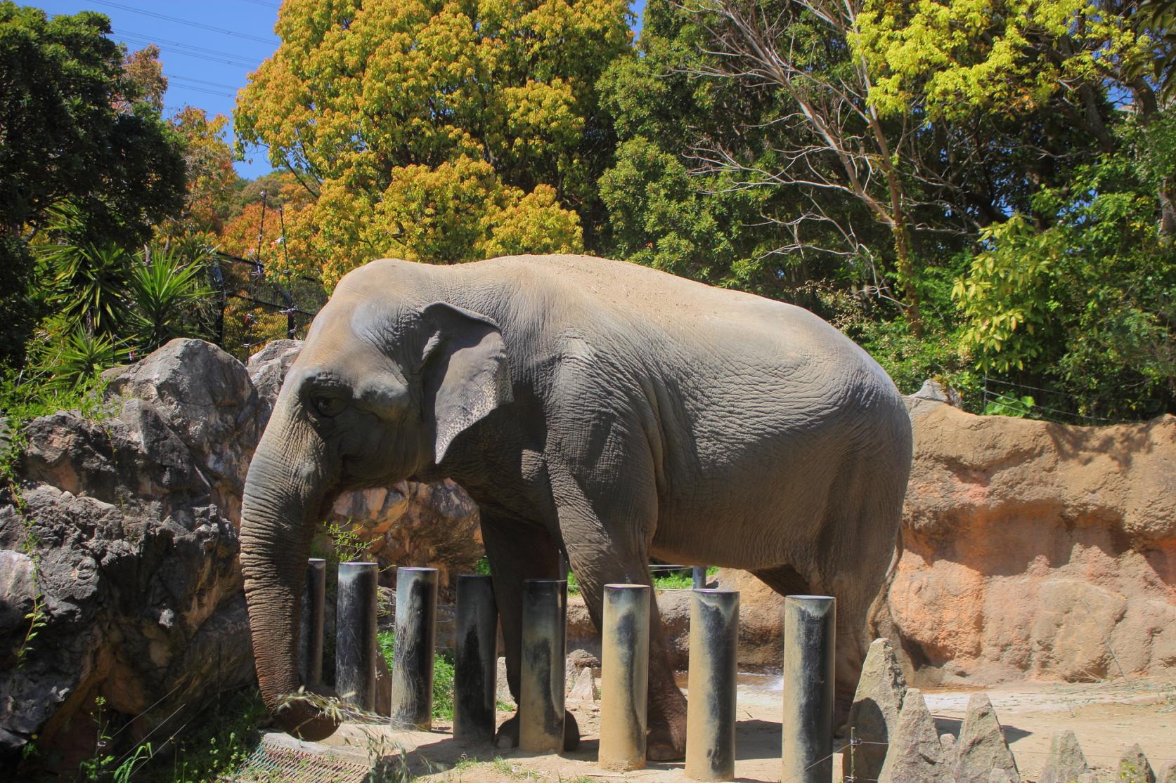 到津の森公園