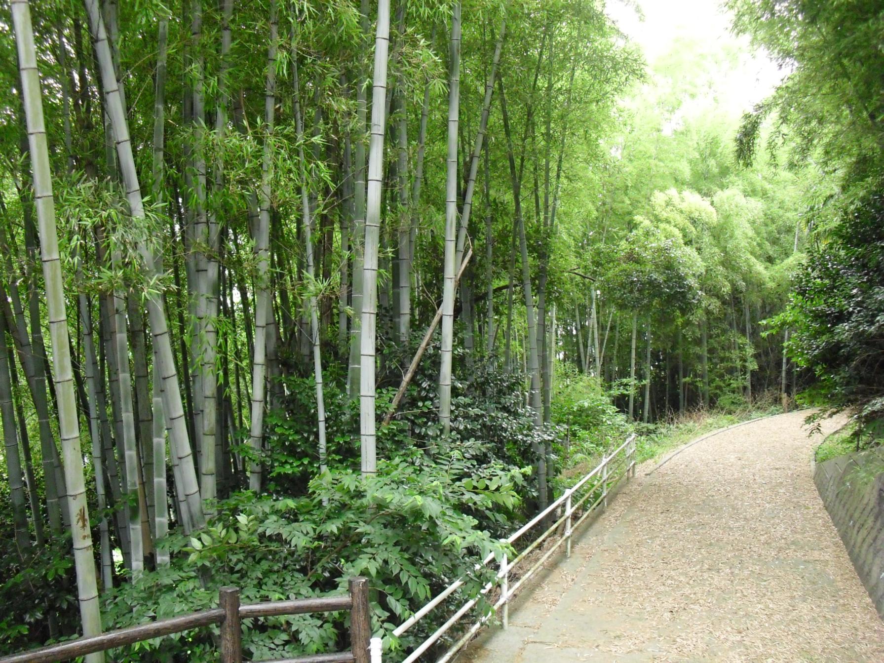 【2日目】鈴熊山公園（吉富町）