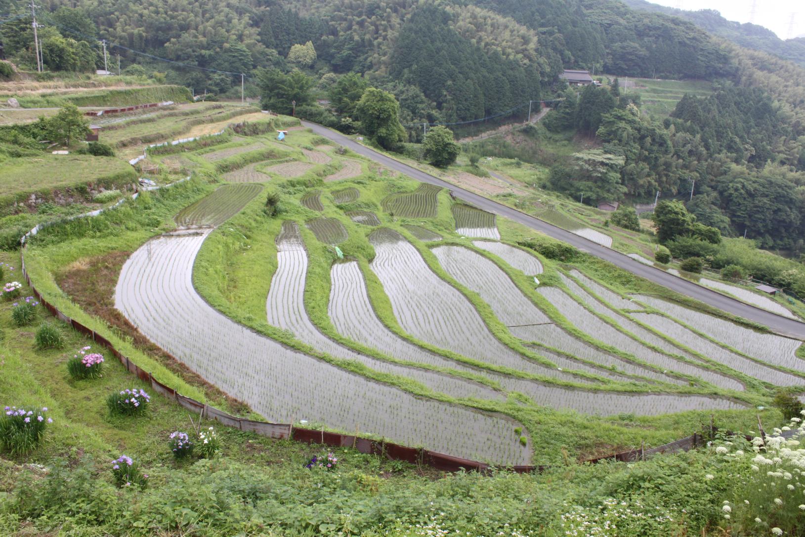 【2日目】等覚寺地区（苅田町）