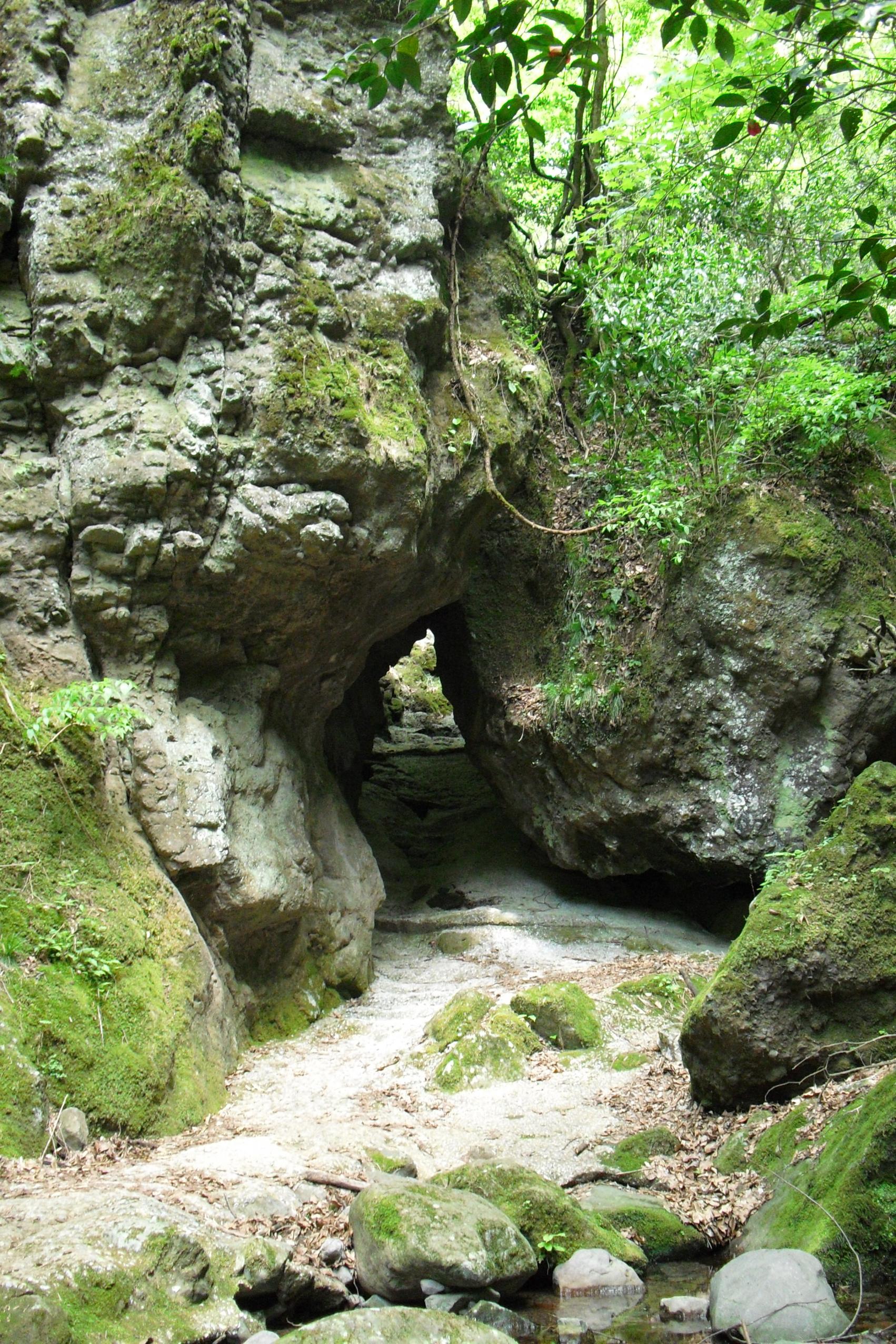 城井ノ上城址（築上町）