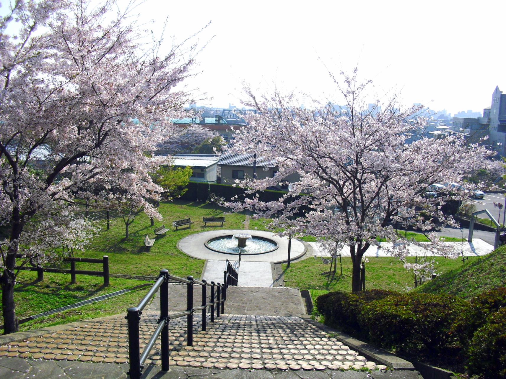 天仲寺公園（吉富町）