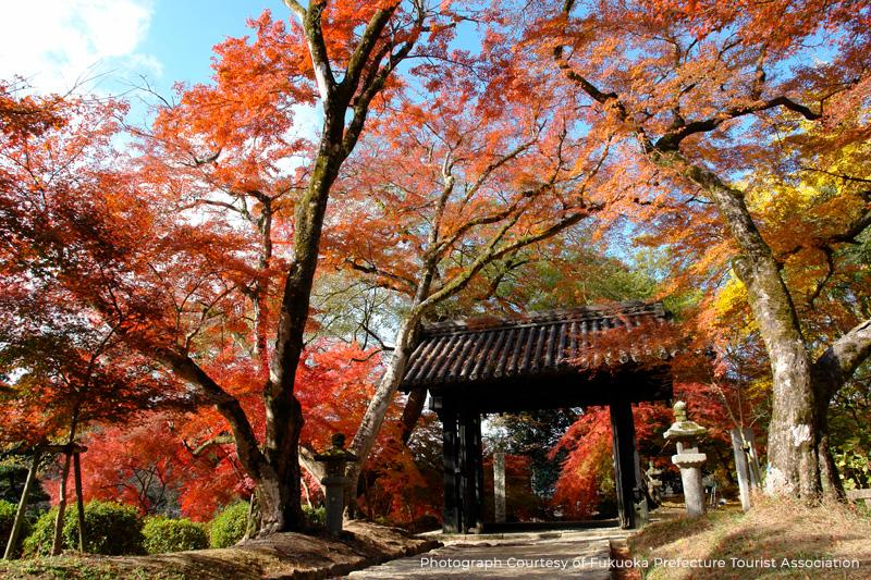 14:30 Explore picturesque Akizuki, a former castle town