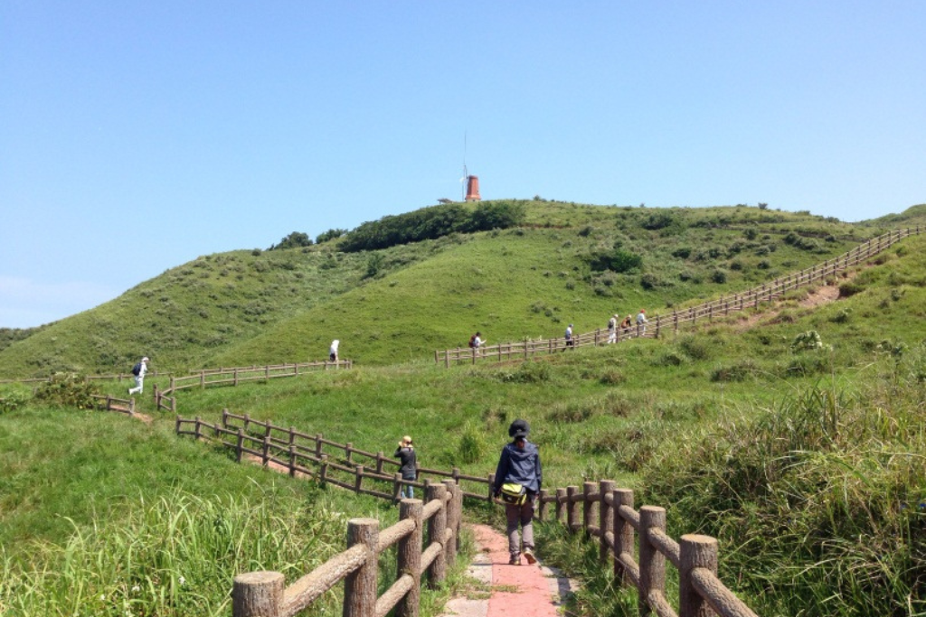 【Day2】9:50 Oshima Olle Experience
