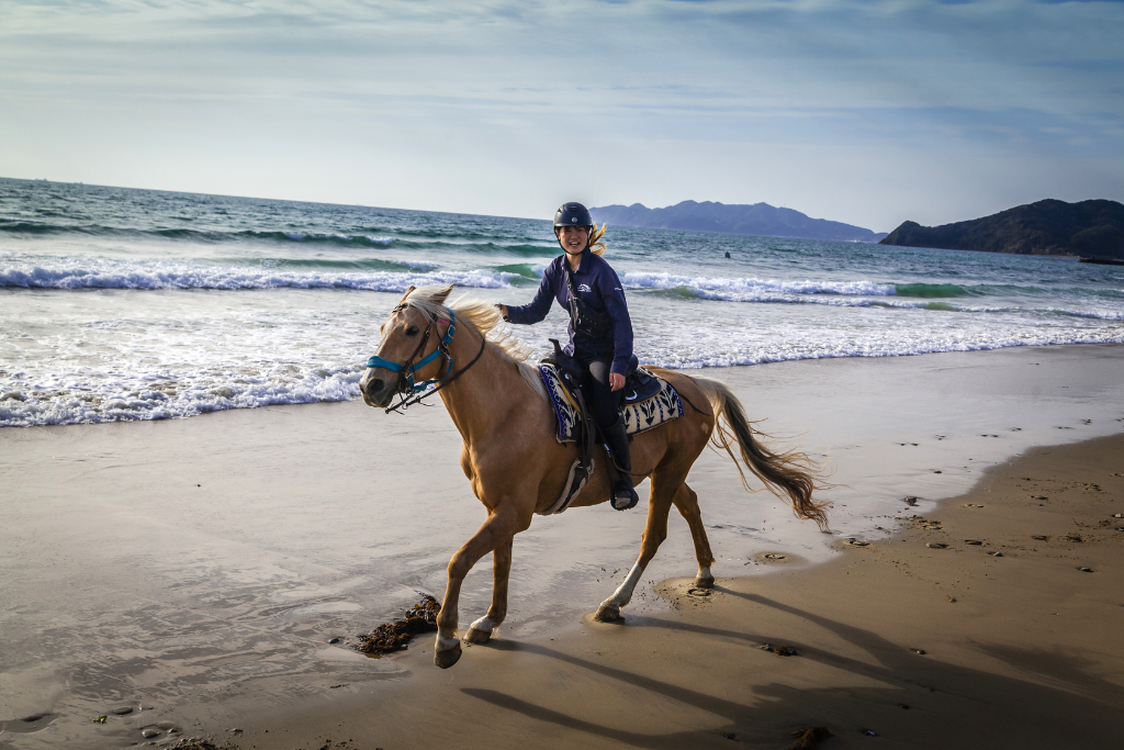 【第1天】10点  在神凑CANADIAN 露营骑马俱乐部参加骑马入门课程，体验沙滩骑马的乐趣。