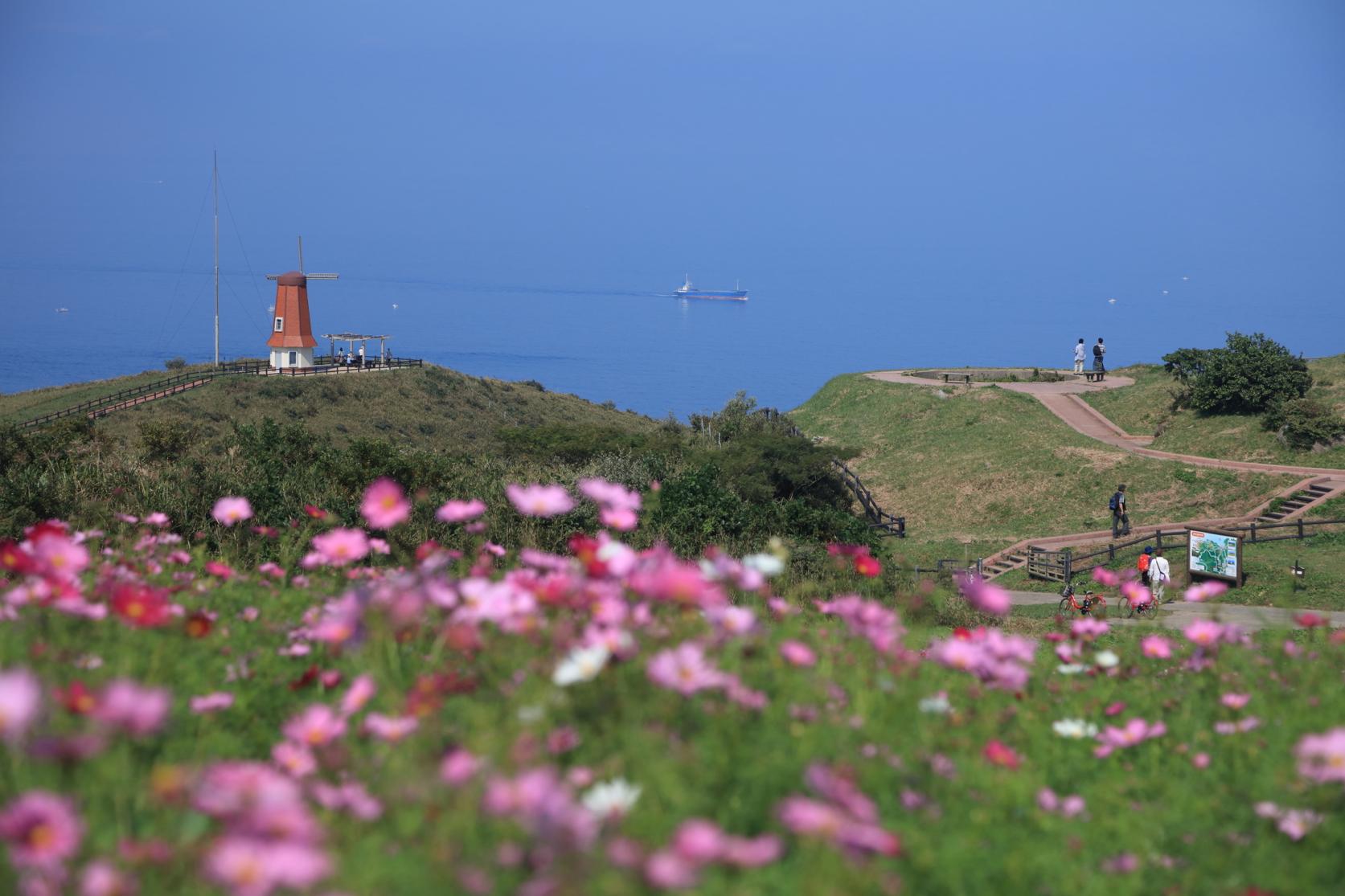 【Day2】8:00  Start with an early breakfast and get ready for a refreshing hike around Oshima