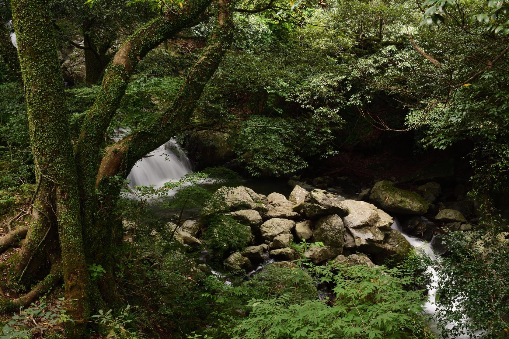 森林セラピー基地 篠栗