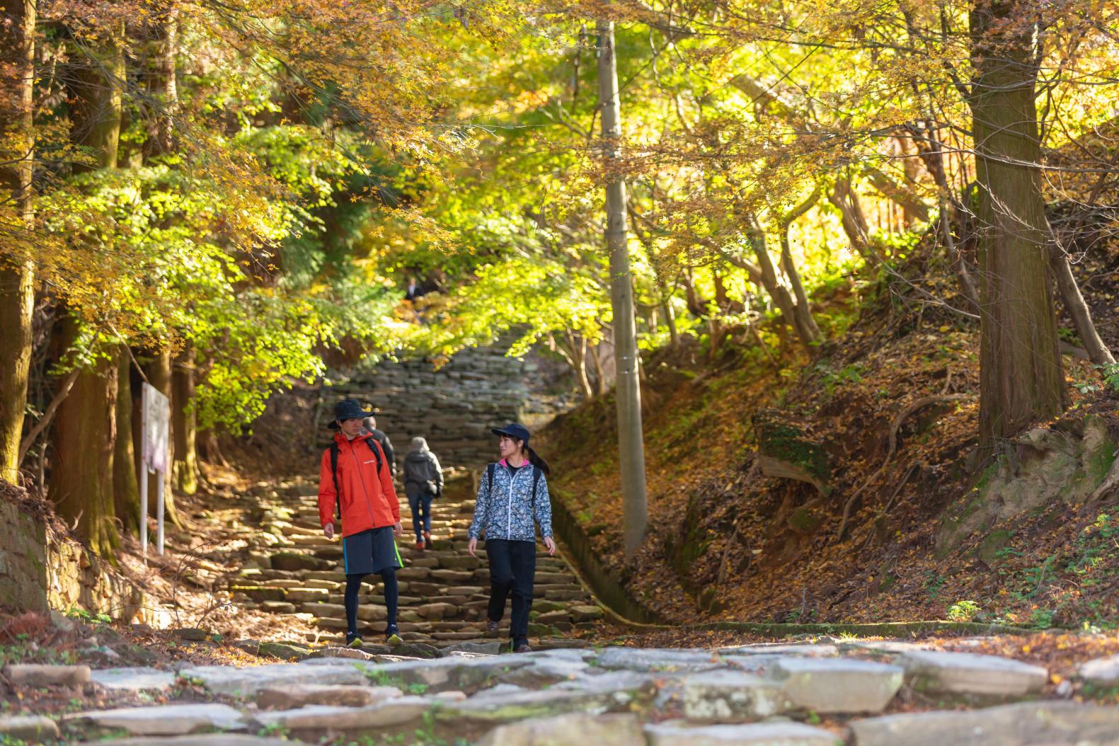 ③구루메・고라산 코스