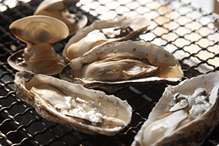 Oyster huts