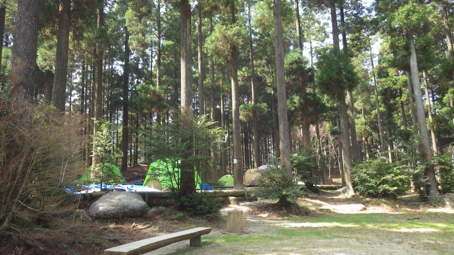 真名子木の香ランドキャンプ場