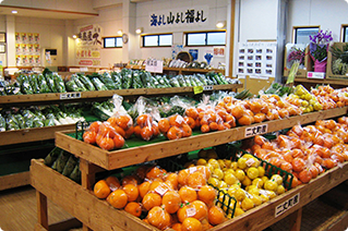 Fukuyoshi Fureai Exchange Center, Fukufuku no Sato