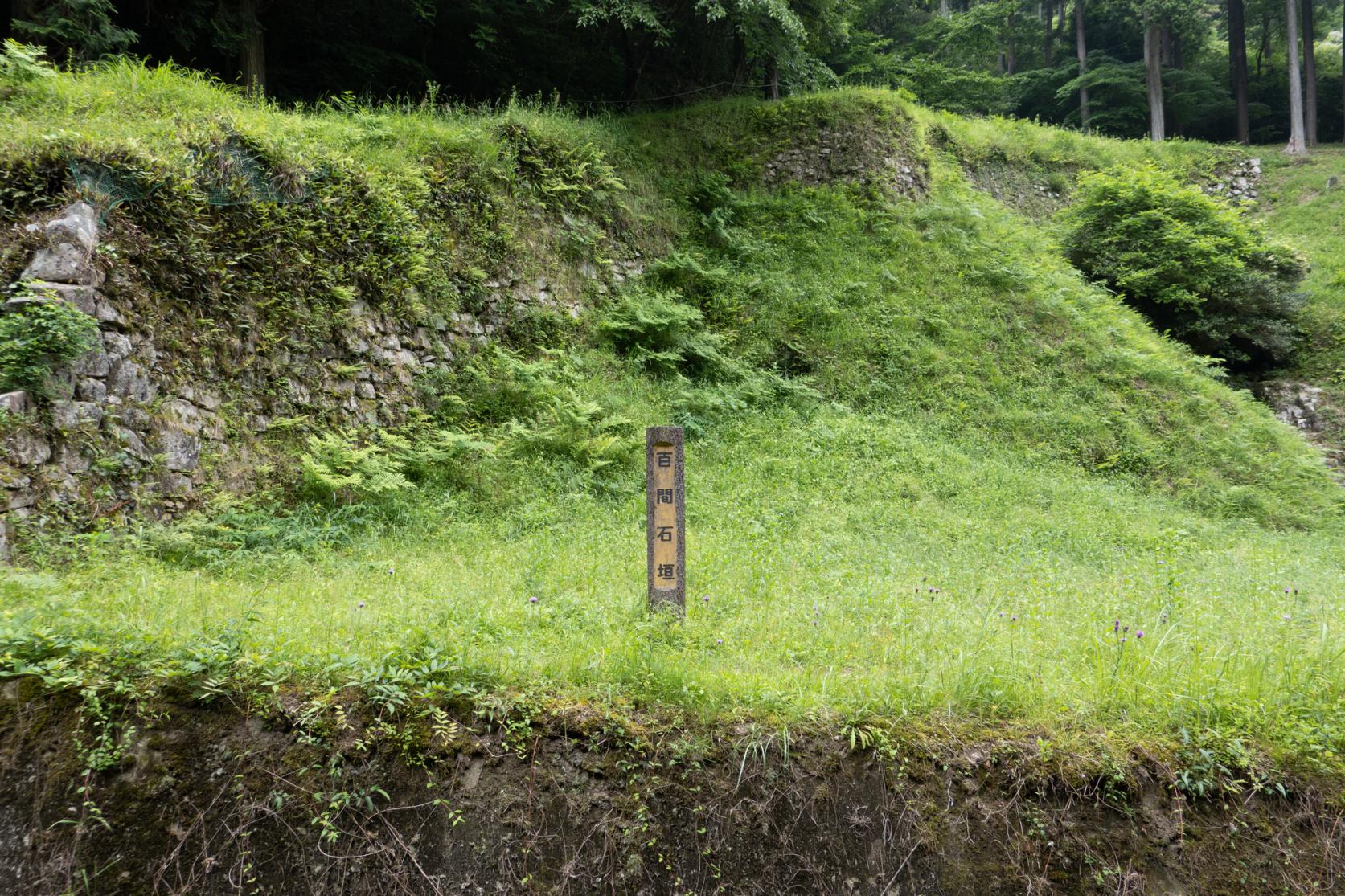 Hyakken Ishigaki stone wall