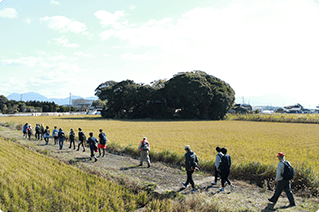 自然いっぱいの田んぼ道