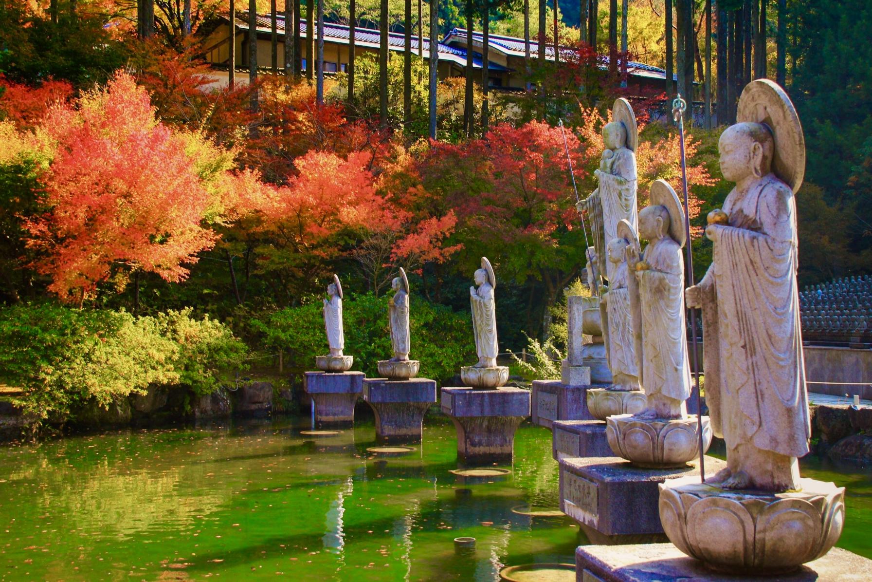 鉾立山天王院の紅葉