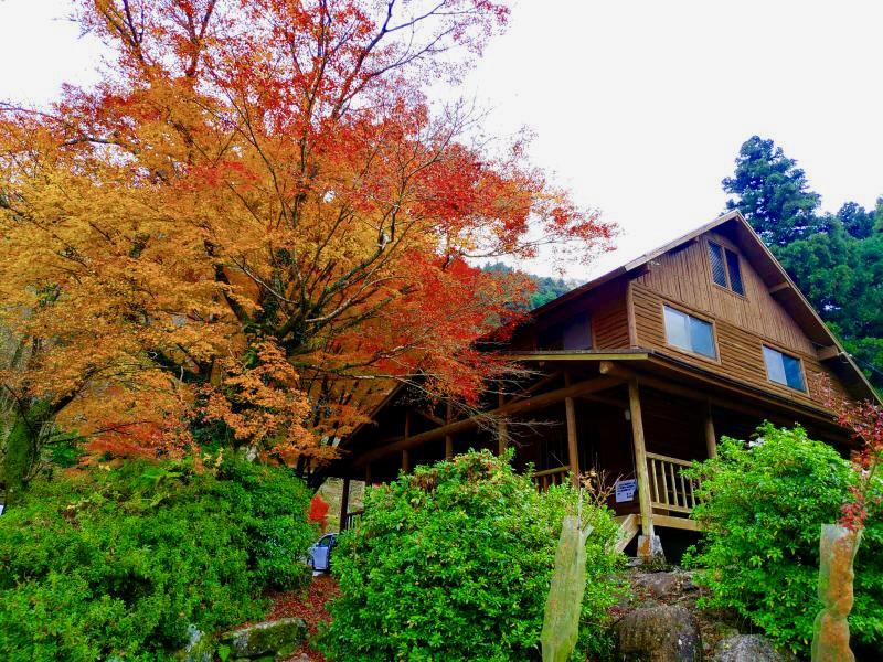 The Fall Foliage Around the Makinohara Camping Ground