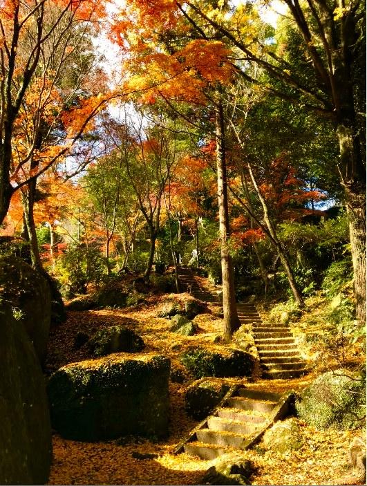 大法山 天愼寺の紅葉