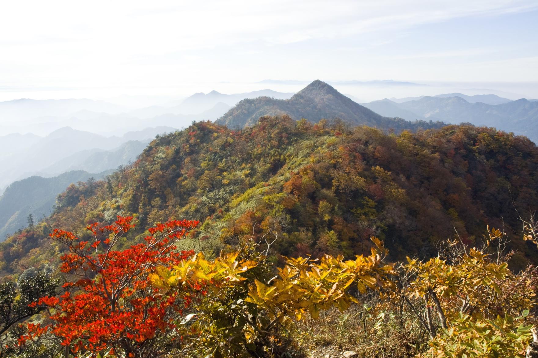 釋迦岳、御前岳的紅葉