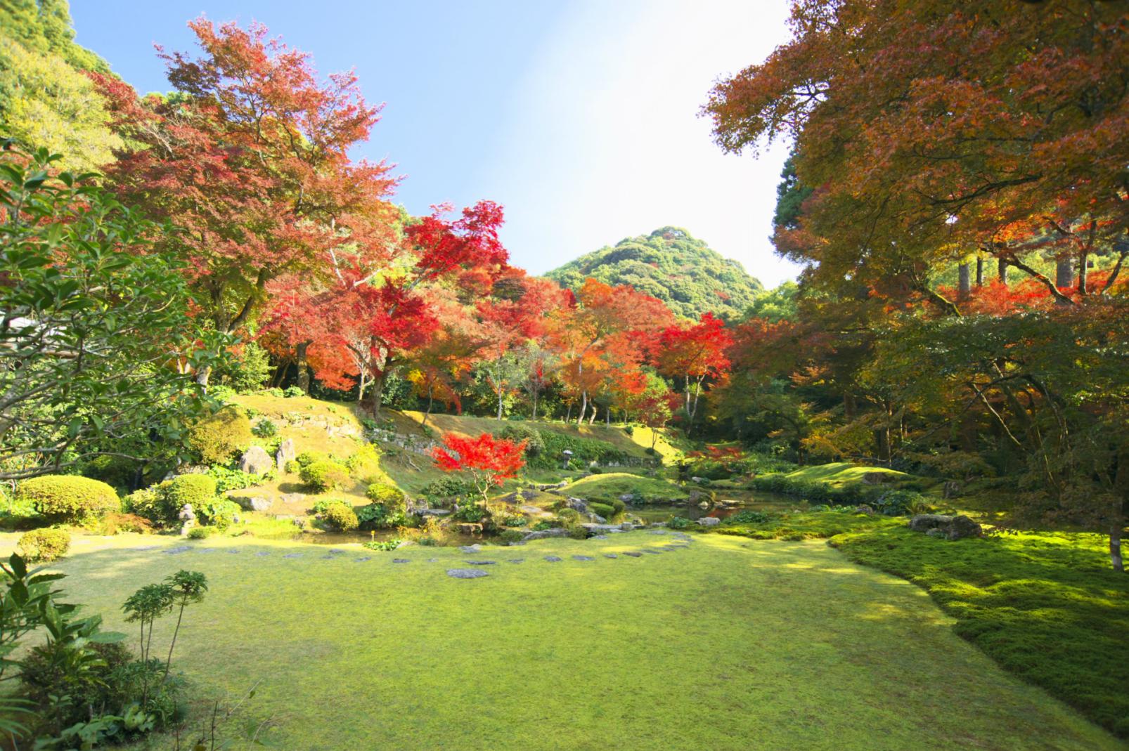 清水山一帯の紅葉