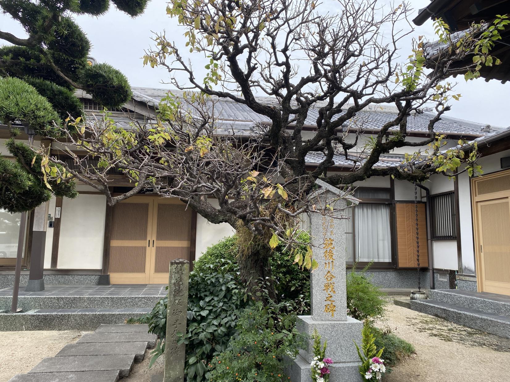 法龍山遍萬寺（ほうりゅうざんへんまんじ）