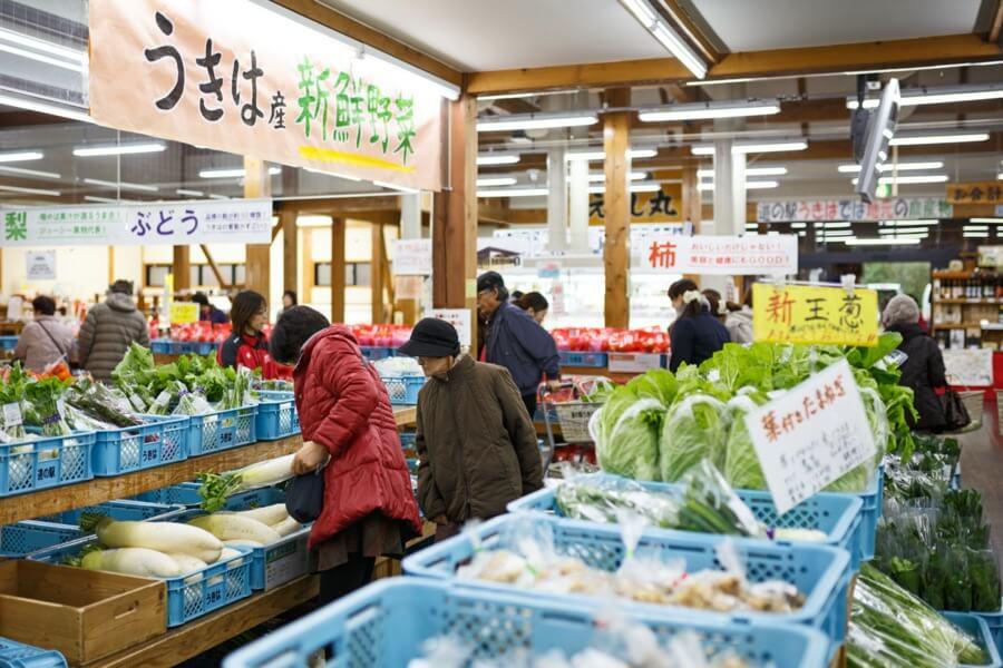 道の駅うきは