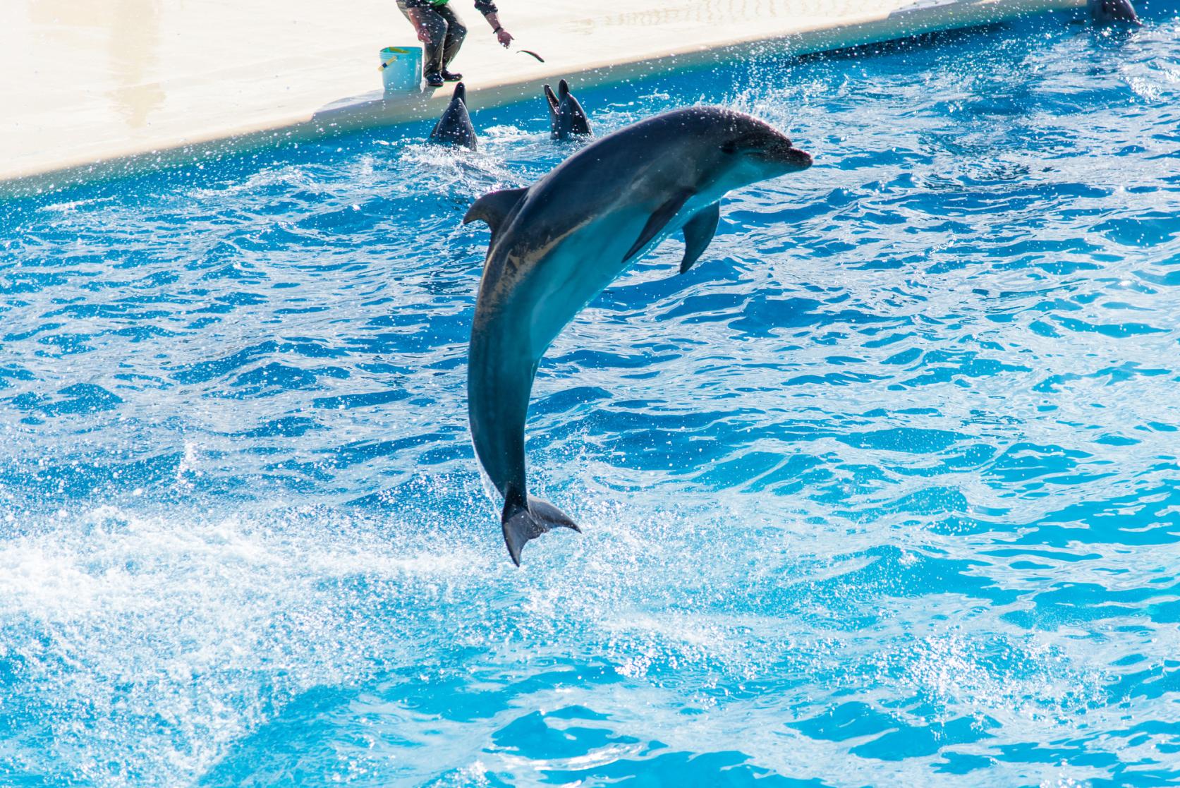 【3日目】マリンワールド海の中道