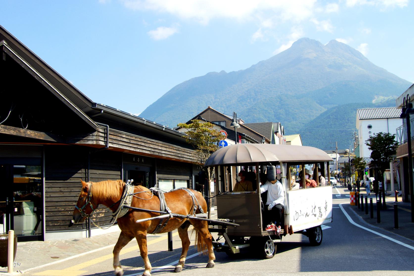 【1日目】観光辻馬車