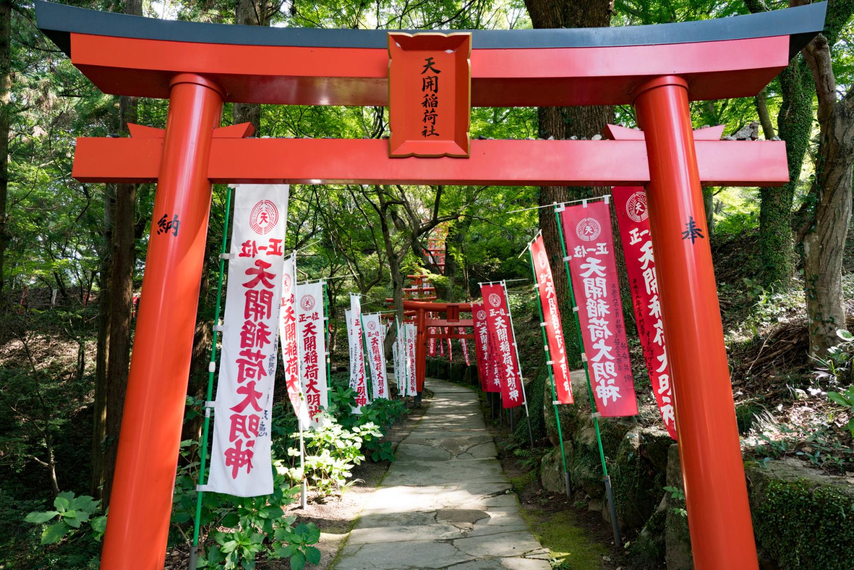 【1日目】天開稲荷神社