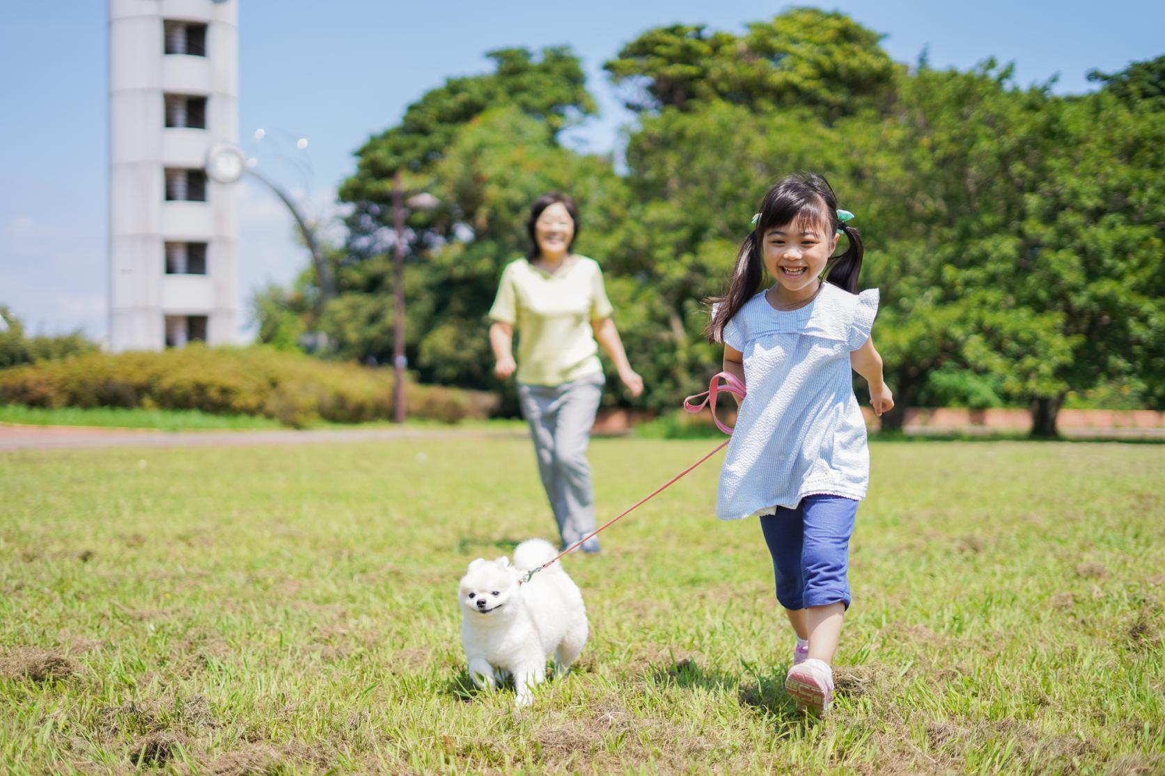 04.人と動物との共生社会づくり