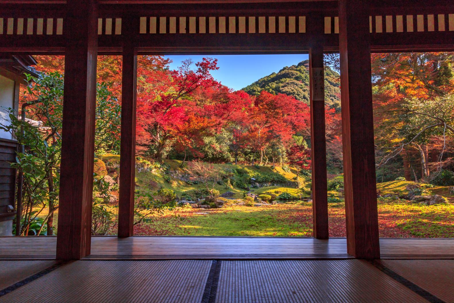 6. 기요미즈 절 혼보정원(清水寺本坊庭園)