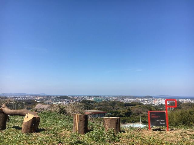 5.しんぐう愛の丘（展望台）