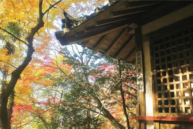 5.上高野観音寺