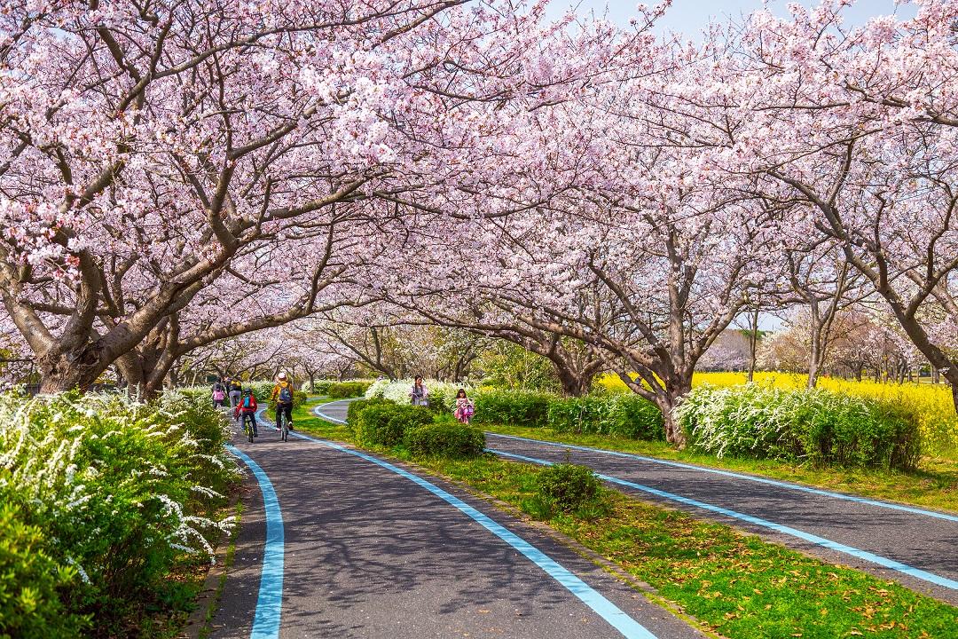 Uminonakamichi Seaside Park (Higashi Ward, Fukuoka City)