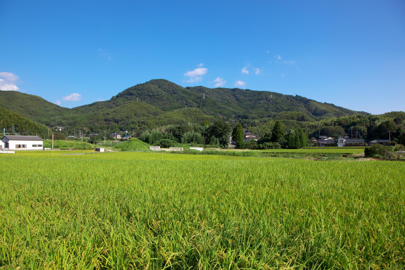三池山